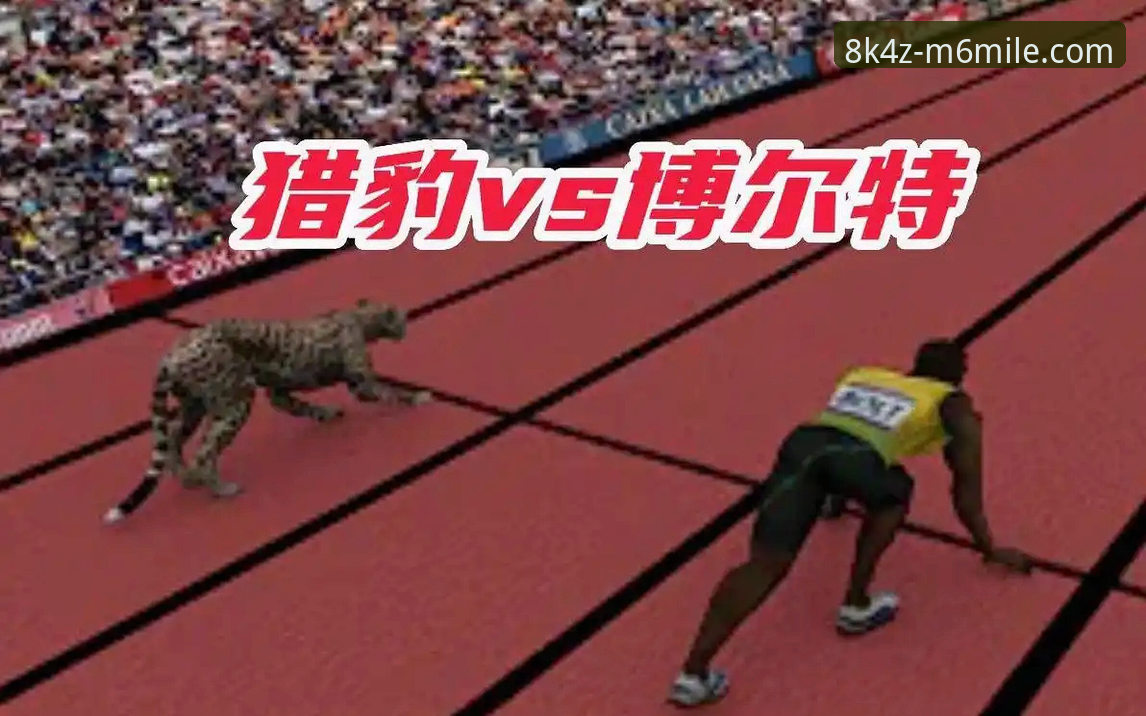 M6MILE8K4Z入口官方下载 vs 普通入口：稳定性与速度的全面对比分析