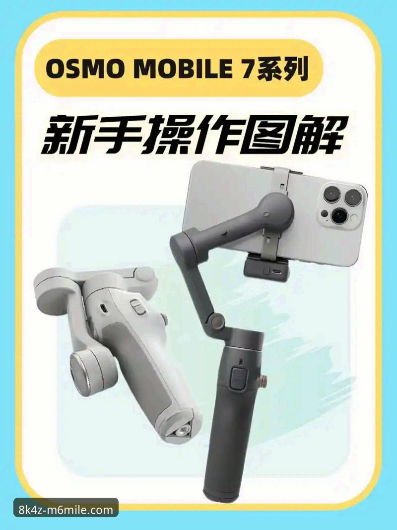 M6米乐平台手机版详解：新手也能快速上手的操作指南